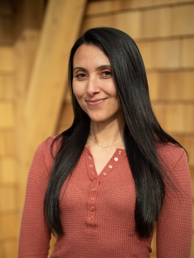 Saba El-Hilo Image
